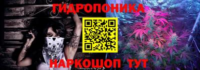 СК Можайск