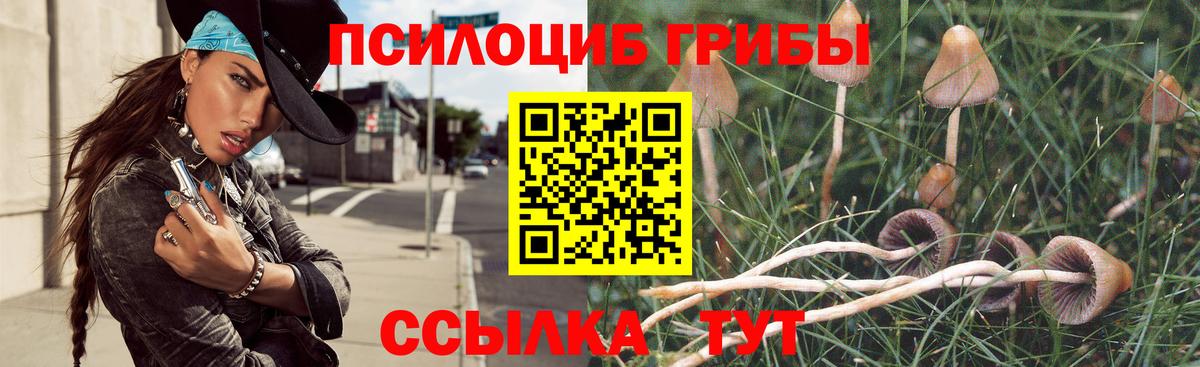 Славянск-на-Кубани  Галлюциногенные грибы Psilocybine cubensis  Вход с VPN 